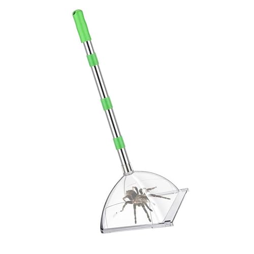 Tragbarer Spinnenfänger aus Edelstahl für den Innen- und Außenbereich, mit 81,3 cm ausziehbarem Griff und Entriegelungswerkzeug von YAOGUI