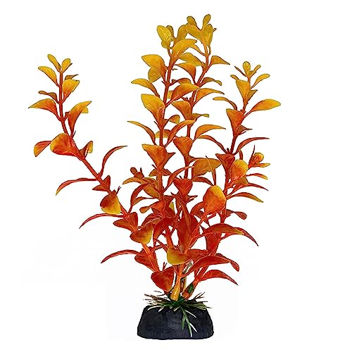 YAOGUI Künstliches Wassergras, Wasserpflanze, Aquarium, Dekoration, Aquarium-Dekoration, Aquarium-Dekoration YAOGUI Künstliches Wassergras, Wasserpflanze, Aquarium, Dekoration, Aquarium-Dekoration, Aquarium-Dekoration von YAOGUI