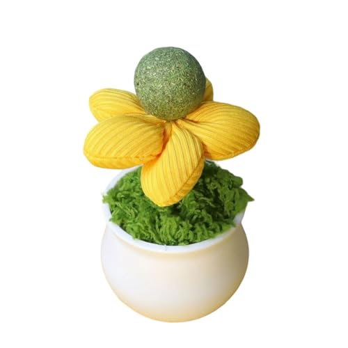 YAOGUI Natürliche Katzenpips Topfspielzeug Für Kätzchen Innenunterhaltung Und Verhaltensverbesserung Necken Und Engagierende Spielzeugkatzen Verhaltensverbesserung von YAOGUI