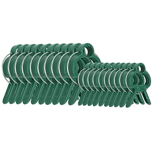 YAOGUI Pflanzenclips, wiederverwendbar, Gartenzubehör, Befestigungsklemme für Blumen, Ranken, Gemüse, Tomaten, Klettern, 20 Stück YAOGUI Pflanzenclips, wiederverwendbar, Gartenzubehör, Befestigungsklemme für Blumen, Ranken, Gemüse, Tomaten, Klettern, 20 Stück von YAOGUI
