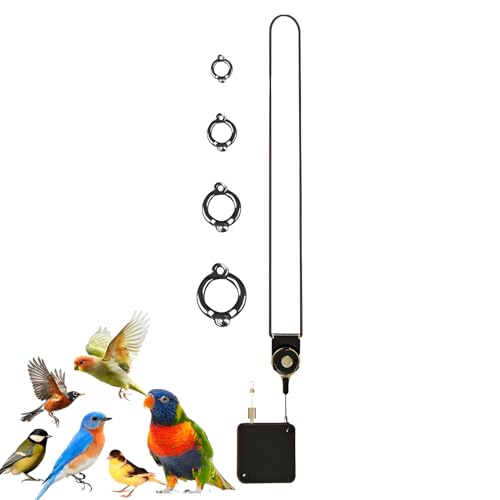 YAOPIU Fußkette,Edelstahl Selbstaufrollende Flugleine Für - Kaugeeignetes Verstellbares Vogel Sprunggelenk Zubehör Für Sittiche Nymphensittiche Wellensittiche Finken Unzertrennliche Aras YAOPIU Fußkette,Edelstahl Selbstaufrollende Flugleine Für - Kaugeeignetes Verstellbares Vogel Sprunggelenk Zubehör Für Sittiche Nymphensittiche Wellensittiche Finken Unzertrennliche Aras von YAOPIU
