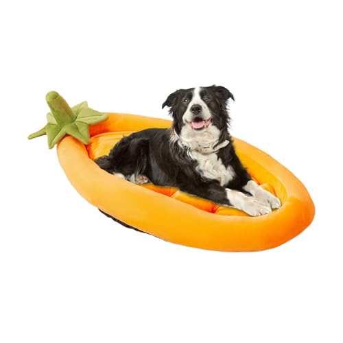 YAOPIU Katzenbett | Auberginenfarbenes Haustierbett - rutschfeste Waschbare Wärmende Schlafhöhle Für Garten Transport Zuhause Camping Outdoor YAOPIU Katzenbett | Auberginenfarbenes Haustierbett - rutschfeste Waschbare Wärmende Schlafhöhle Für Garten Transport Zuhause Camping Outdoor von YAOPIU