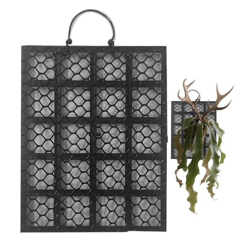 YAOPIU Staghorn Fern Wandhalterung - Halter Für Hirschgeweihfarn Wand Pflanzbrett | Platycerium Orchideen Montage Wohndekoration für Garten Innenraum Außenbereich Büros Wohnheime Schlafzimmer Balkon von YAOPIU