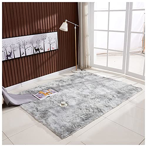 YAOTT Teppich Wohnzimmer Teppich - Quadrat Flauschige Teppiche Soft Area Rug Schlafzimmer Shaggy Teppich Teppiche Batik-Teppiche Für Wohnzimmer Schlafzimmer,Grau2,40X60 von YAOTT