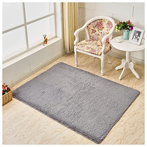 YAOTT Ultra Soft Indoor Modern Area Teppiche Flauschige Shaggy Wohnzimmer Teppich Für Wohnzimmer Schlafzimmer Küche Flure Kinderzimmer,Leicht Zu Reinigen,Grau,60X120 von YAOTT