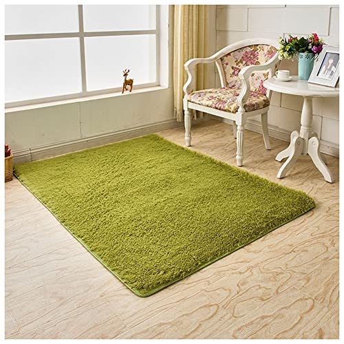 YAOTT Ultra Soft Indoor Modern Area Teppiche Flauschige Shaggy Wohnzimmer Teppich Für Wohnzimmer Schlafzimmer Küche Flure Kinderzimmer,Leicht Zu Reinigen,Grün2,80X120 von YAOTT