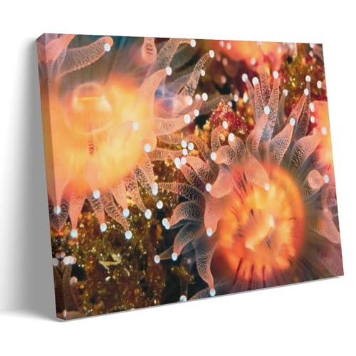 YAPING Deep Sea Coral Anemone Canvas Print 08x12inch(20x30cm) von YAPING