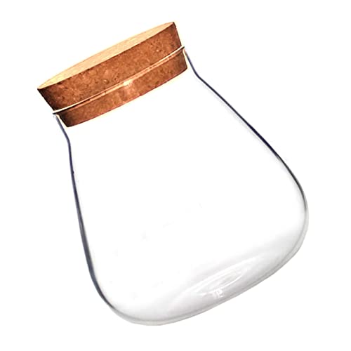 YARNOW 1stück Glasvase Mit Korken Dekoratives Glasgefäß Ökosysteme Kunsthandwerk Für Kleine Pflanzen Stilvolle Wohnaccessoires von YARNOW