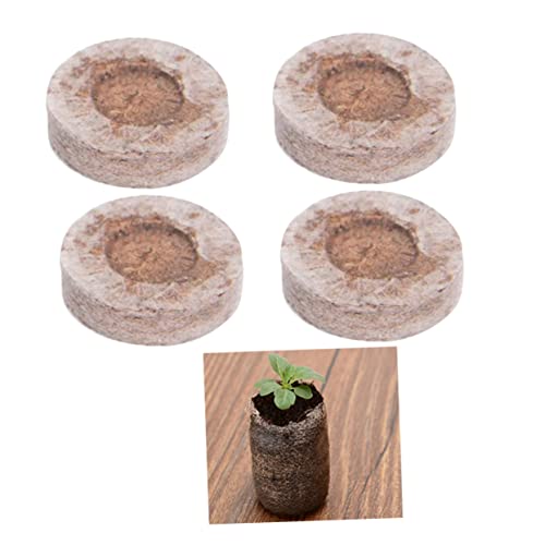 YARNOW 10stücke Peat Pellets Komprimierte Anzuchtsteine Für Pflanzen Hochwertige Erde Für Erfolgreiche Keimung Und Anzucht Garten Und Gewächshaus YARNOW 10stücke Peat Pellets Komprimierte Anzuchtsteine Für Pflanzen Hochwertige Erde Für Erfolgreiche Keimung Und Anzucht Garten Und Gewächshaus von YARNOW