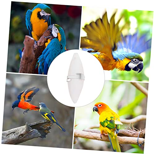 YARNOW 12 Stück Teiliges Hamster Kauspielzeug aus Natürlichem Sepiaschalen Knochen mit Halter Langlebig zur Zahnreinigung und Calciumversorgung Geeignet für Zwerghamster und Kleintiere von YARNOW