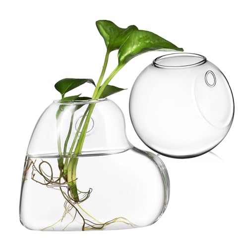 YARNOW 2 Stück Borosilikatglas Wandvase Transparente Hängende Glas Terrarien für Pflanzen und Fische Robuste Wandhalterung Kratzfest Einfach zu Montieren für Zimmerpflanzen und Aquarien YARNOW 2 Stück Borosilikatglas Wandvase Transparente Hängende Glas Terrarien für Pflanzen und Fische Robuste Wandhalterung Kratzfest Einfach zu Montieren für Zimmerpflanzen und Aquarien von YARNOW