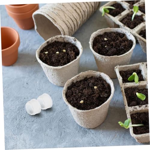 YARNOW 20 Stück Teiliges Klare Pflanzkasten Stopfen aus Robustem Kunststoff Wiederverwendbare Dichtungsstopfen für Gemüse Pflanzkübel für Balkon Indoor Garten Einfache Installation YARNOW 20 Stück Teiliges Klare Pflanzkasten Stopfen aus Robustem Kunststoff Wiederverwendbare Dichtungsstopfen für Gemüse Pflanzkübel für Balkon Indoor Garten Einfache Installation von YARNOW
