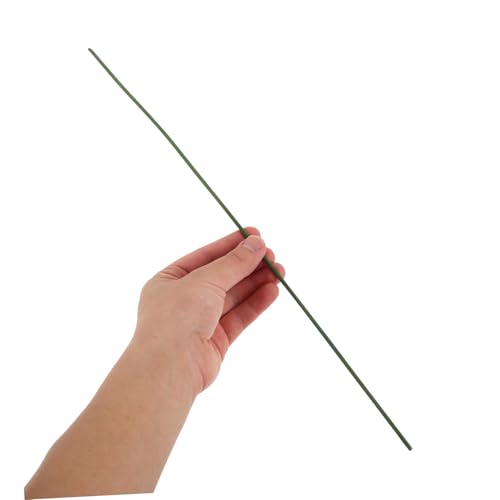 YARNOW 20 Stück Teiliges Pflanzstützset Hohe Biegsame Einzelstamm rankhilfe für Topfpflanzen Metall Kunststoffmaterial Inklusive Verstellbarer Pflanzenbinder für Kletterpflanzen und YARNOW 20 Stück Teiliges Pflanzstützset Hohe Biegsame Einzelstamm rankhilfe für Topfpflanzen Metall Kunststoffmaterial Inklusive Verstellbarer Pflanzenbinder für Kletterpflanzen und von YARNOW