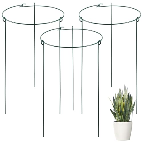 YARNOW 3 Stück Garten Stützrahmen Pflanzenpfähle Pflanzenspalier Für Töpfe Orchideenkäfige Pflanzenstützpfähle Pflanzenkletterregal Pflanzenspalier Pfingstrosenpfähle YARNOW 3 Stück Garten Stützrahmen Pflanzenpfähle Pflanzenspalier Für Töpfe Orchideenkäfige Pflanzenstützpfähle Pflanzenkletterregal Pflanzenspalier Pfingstrosenpfähle von YARNOW