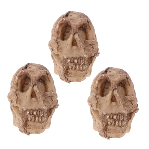 YARNOW 3 Stück Teiliges Terrarium Deko aus Leichtem Resin Lebensechte Menschliche Totenkopf Modelle Miniaturgröße für Reptilienverstecke Geeignet für Echsen Schlangen und Geckos Beige von YARNOW