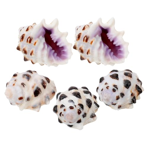 YARNOW 5 Stück Muschelschale Garnieren Fischtankdekoration Aquarium Muscheln Am Strand Klein Dekorationen Für Aquarien Jakobsmuschel Ornamente Miniatur Muscheln Zum Basteln Hülse YARNOW 5 Stück Muschelschale Garnieren Fischtankdekoration Aquarium Muscheln Am Strand Klein Dekorationen Für Aquarien Jakobsmuschel Ornamente Miniatur Muscheln Zum Basteln Hülse von YARNOW