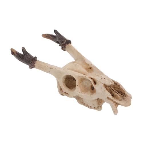 YARNOW Reptilienversteck aus Stabilem Resin Schädel-Design Pflegeleichte Höhle für Echsen Schildkröten und Schlangen Dekoratives Versteck für Terrarien und Aquarien Mittelgroß von YARNOW