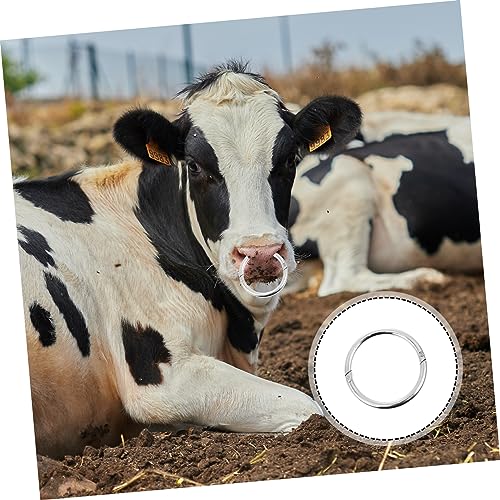 YARNOW Rinder Nasenring Kohlenstoffstahl Robustes Zugwerkzeug für Vieh Mittlere Verschleißfest Stabiler Viehhaltering Einfach zu Bedienen Sicher für Landwirtschaftliche Nutzung von YARNOW