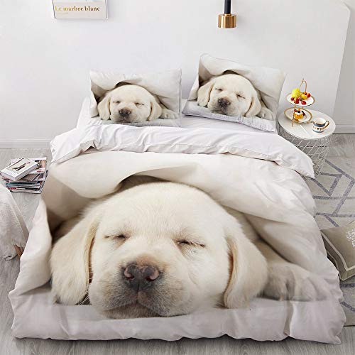 YASMENG Bettwäsche Hundemotiv 155x220 Kinder Jungen Labrador Weiß 3D Bettwäsche Weich Mikrofaser Bettwäsche 3 Teilig für Jugendliche Kinder Zimmer Deko mit Reißverschluss und 2 Kissenbezüge 80x80 cm YASMENG Bettwäsche Hundemotiv 155x220 Kinder Jungen Labrador Weiß 3D Bettwäsche Weich Mikrofaser Bettwäsche 3 Teilig für Jugendliche Kinder Zimmer Deko mit Reißverschluss und 2 Kissenbezüge 80x80 cm von YASMENG