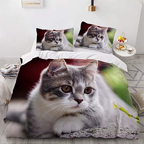 YASMENG Katzen Bettwäsche 135x200 Katze Motiv Grau Kinder 3D Bettbezug Set Weich Mikrofaser Bettwäsche 2teilig für Teenager Geschenke Jungen Mädchen mit Reißverschluss und 80x80 cm Kissenbezug von YASMENG