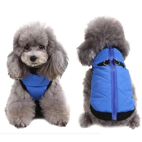 Haustierkleidung Winter Haustier Hund Kleidung wasserdichte Zipper Jacke for Kleine Warm Puppy Mantel Freizeit(Red,S) von YATINGZHANG