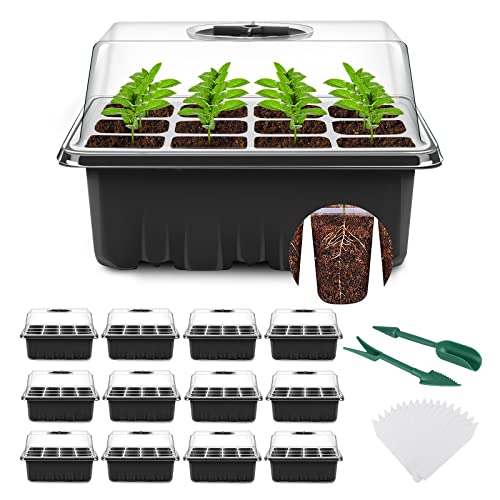 YAUNGEL Zimmergewächshaus Anzuchtkasten, 12 Stück 144 Zellen Mini Gewächshaus Anzucht Set Setzling Starter Tabletts Treibhaus Anzuchtschale mit Deckel und Belüftung für Sämling Pflanze, Schwarz YAUNGEL Zimmergewächshaus Anzuchtkasten, 12 Stück 144 Zellen Mini Gewächshaus Anzucht Set Setzling Starter Tabletts Treibhaus Anzuchtschale mit Deckel und Belüftung für Sämling Pflanze, Schwarz von YAUNGEL