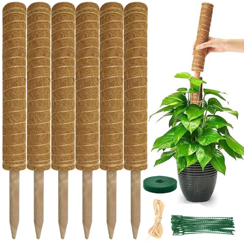 Pflanzen Rankhilfe Monstera Rankhilfe - Erweiterbar Pflanzhilfe Fuer Monstera 6PCS 42cm VerläNgerbar Up To133cm Kokosstab Plant Moosstab Pflanzstab Support Rankhilfe Zimmerpflanzen Plant Support Stick von YAWAHOME