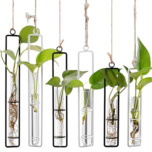 YAYODS 6er-Set Glasvase Reagenzglas Vase mit Metallrahmen - Blumenröhrchen Wandvase - Kleine Hängedeko Glas Vase - Wandvasen für Pflanzen Innen YAYODS 6er-Set Glasvase Reagenzglas Vase mit Metallrahmen - Blumenröhrchen Wandvase - Kleine Hängedeko Glas Vase - Wandvasen für Pflanzen Innen von YAYODS