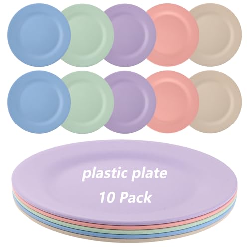 YAYODS Plastik Teller Set 10 Personen - 28CM Groß Unzerbrechliches Speiseteller aus PP - 5 Farben Plastikteller Mehrweg für Kinder & Erwachsene - Kunststoffteller - Mikrowellenfest Spülmaschinenfest von YAYODS