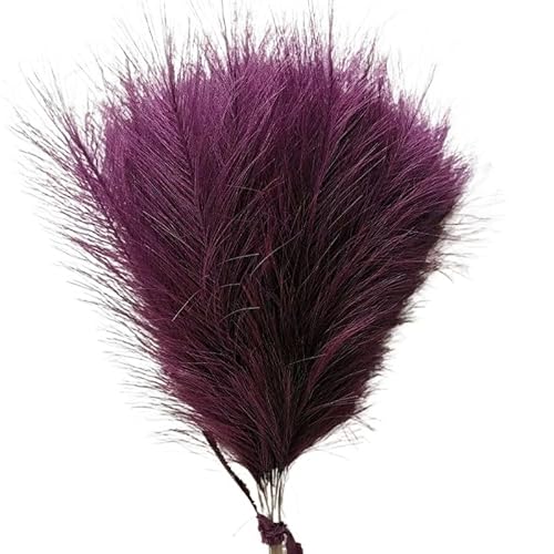 Zuhause mit Blumen dekorieren, 1/5/10/30 Stück Künstliches Pampasgras Multicolor(003deep Purple,1pcs) von YBAAKZIIR