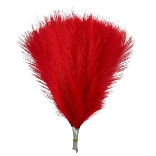 Zuhause mit Blumen dekorieren, 1/5/10/30 Stück Künstliches Pampasgras Multicolor(076red,10pcs) von YBAAKZIIR
