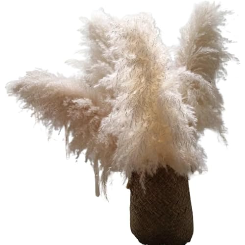 Zuhause mit Blumen dekorieren, Getrocknete Pampasgras Kunstblumen 60cm Home Hochzeitsdeko Packung mit 5 oder 10 Stück(10pcs) von YBAAKZIIR