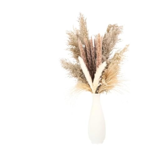 Zuhause mit Blumen dekorieren, Getrockneter Pampasgrasstrauß, 13/20/26/50 Stück, Höhe 40–45 cm(13pcs No Vase) von YBAAKZIIR