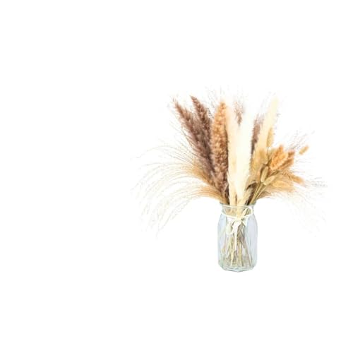 Zuhause mit Blumen dekorieren, Getrockneter Pampasgrasstrauß, 13/20/26/50 Stück, Höhe 40–45 cm(26pcs No Vase) von YBAAKZIIR