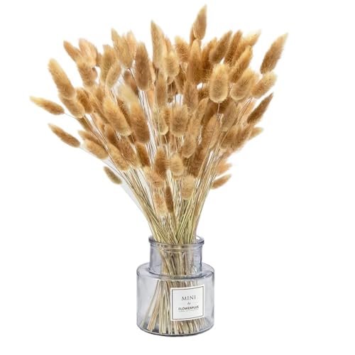 Zuhause mit Blumen dekorieren, Getrocknetes Pampasgras und Hasenschwanzdeko 100 Stück 40-50 cm(80pcs Rabbit Tail) von YBAAKZIIR