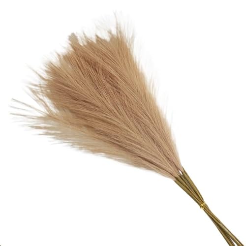 Zuhause mit Blumen dekorieren, Künstlicher Pampasgrasstrauß 55cm 10er Pack Multicolor(Coffee) von YBAAKZIIR