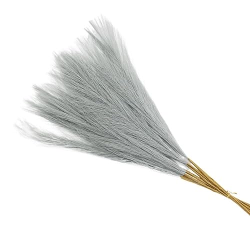 Zuhause mit Blumen dekorieren, Künstlicher Pampasgrasstrauß 55cm 10er Pack Multicolor(Grey) von YBAAKZIIR