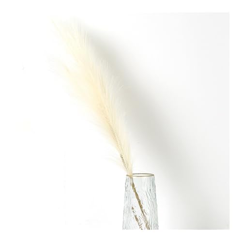 Zuhause mit Blumen dekorieren, Künstlicher Pampasgrasstrauß Multicolor 90cm oder 120cm(Beige,120cm) von YBAAKZIIR