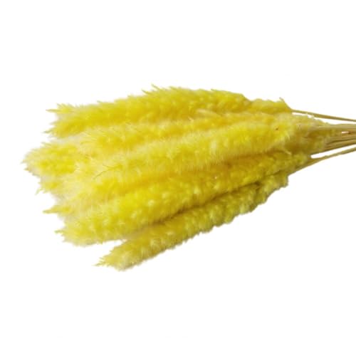 Zuhause mit Blumen dekorieren, Künstlicher getrockneter Pampasgrasstrauß, Mehrfarbig, 15 Stück(Yellow) von YBAAKZIIR