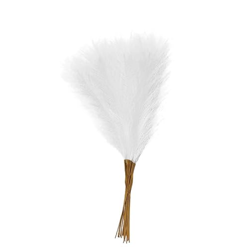 Zuhause mit Blumen dekorieren, Künstliches Pampasgras 55cm Multicolor 10er Packung Deko(White) von YBAAKZIIR