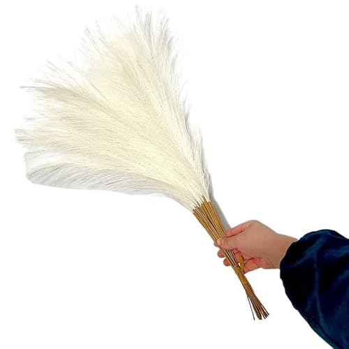 Zuhause mit Blumen dekorieren, Künstliches Pampasgras aus Schilf, 55 cm, Mehrfarbig, 10 Stück(E) von YBAAKZIIR