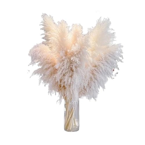 Zuhause mit Blumen dekorieren, Künstliches getrocknetes Pampasgras 5er Pack 110-120 cm zur Dekoration ohne Vase von YBAAKZIIR