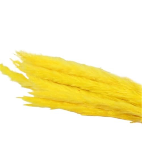 Zuhause mit Blumen dekorieren, Packung mit 15 natürlichen getrockneten Pampasgrasblüten, Mehrfarbig, 50 cm(Yellow) von YBAAKZIIR