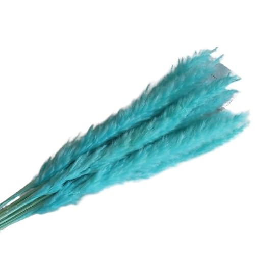 Zuhause mit Blumen dekorieren, Packung mit 30 künstlichen getrockneten kleinen Pampasgrasblumen, Mehrfarbig(Blue) von YBAAKZIIR