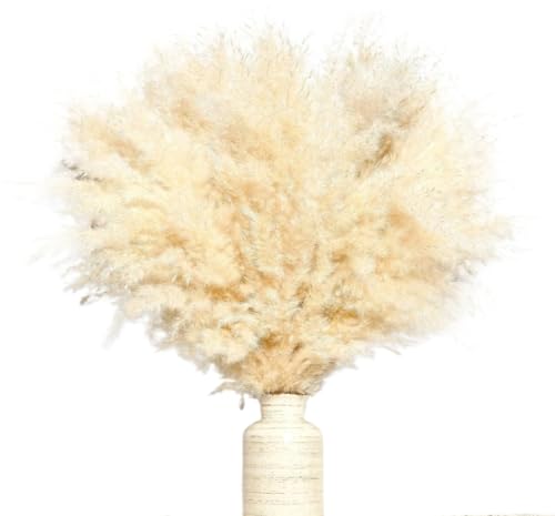 Zuhause mit Blumen dekorieren, Pampasgras, getrocknete Pompas-Pflanze for Vasendekoration, Zuhause, Hochzeit, Party, Packung mit Mehreren Größen(45-50cm,20pcs) von YBAAKZIIR