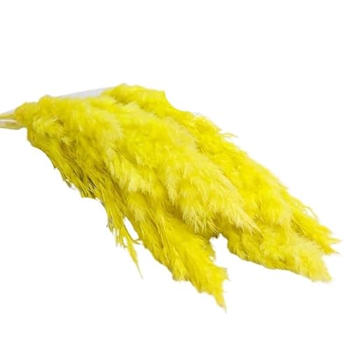 Zuhause mit Blumen dekorieren, Pampasgras, getrockneter Blumenstrauß, künstlich, 50 cm, Heimdekoration, Hochzeit, Mehrfarbig, 10er- oder 20er-Pack, Keine Vase(Yellow,20pcs No Vase) von YBAAKZIIR