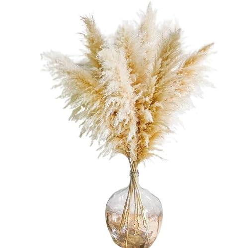 Zuhause mit Blumen dekorieren, Pampasgras, getrocknetes Blumenarrangement, 50–60 cm, Packung mit Mehreren Mengen(50-60cm,20pcs) von YBAAKZIIR