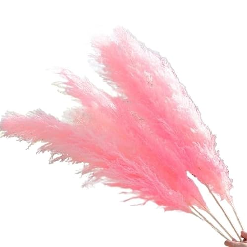 Zuhause mit Blumen dekorieren, Pampasgras-Dekor, getrocknete Blumen, 3er-/5er-/10er-Pack, Mehrfarbig, 70–80 cm(Pink,10pcs) von YBAAKZIIR