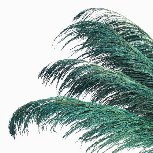 Zuhause mit Blumen dekorieren, Pampasgras-Getrockneter Blumenstrauß, 80–120 cm, 5 Stück, for die Inneneinrichtung(80-120cm-01,5PCS) von YBAAKZIIR