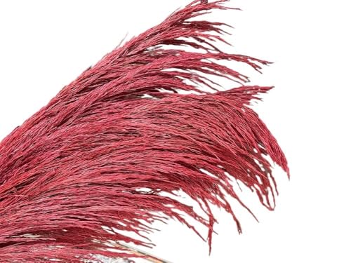 Zuhause mit Blumen dekorieren, Pampasgras-Getrockneter Blumenstrauß, 80–120 cm, 5 Stück, for die Inneneinrichtung(80-120cm-02,5PCS) von YBAAKZIIR